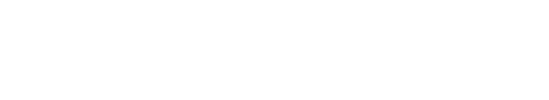 Partner Logo – Consulthink Webflow Template